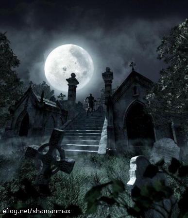 img98659_shamanmax.jpg